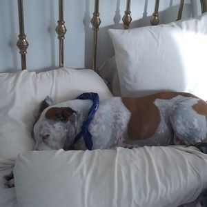 Meet your Posher, Robert